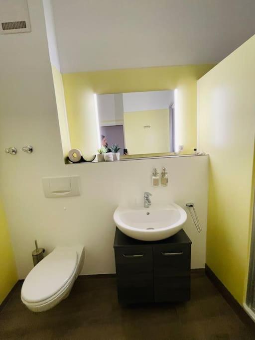 Fewo 20 - Appartement Im Rottalblick - Youngmodern Wohnen, Tiere Willkommen, Bademantelgang Zur Therme, Tv Und Balkon Bad Griesbach (Bavaria) Eksteriør bilde