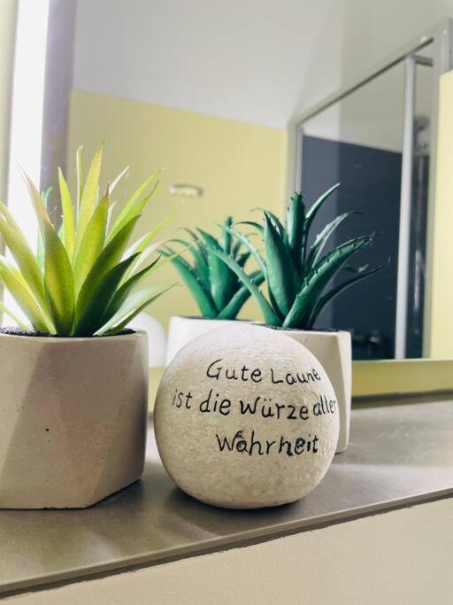 Fewo 20 - Appartement Im Rottalblick - Youngmodern Wohnen, Tiere Willkommen, Bademantelgang Zur Therme, Tv Und Balkon Bad Griesbach (Bavaria) Eksteriør bilde
